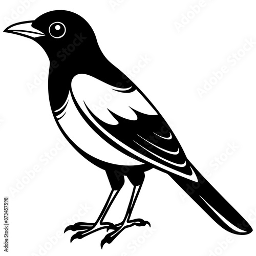 Bird Vector Illustration