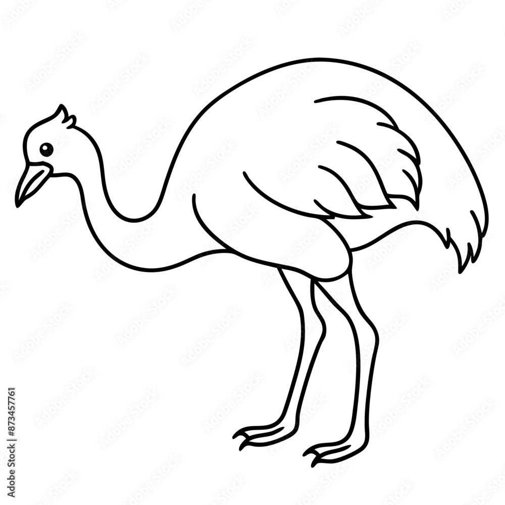 Emu down his head Vector Illustrations
Emu down his head Vector Illustrations