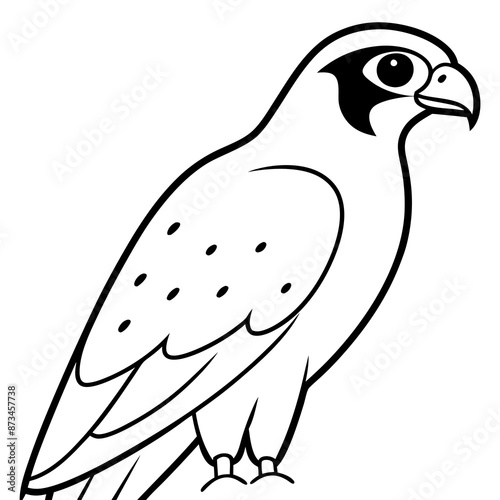 Bird Vector Illustration