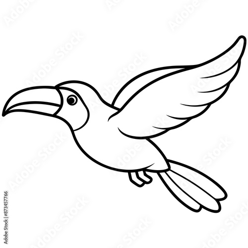 Bird Vector Illustration