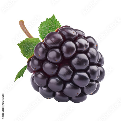 Blackberry with green leaf isolated transparent background. Clipart for food packaging, recipe book and healthy eating promotion.