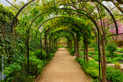 Photography Live arch in Kew botanical gardens, London, UK