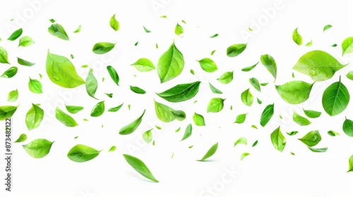 Green leaves in mid-air, isolated on a white background.

