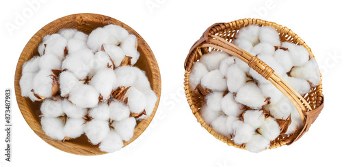 Cotton plant flower in wooden bowl and wicker basket isolated on white background. Top view. Flat lay photo