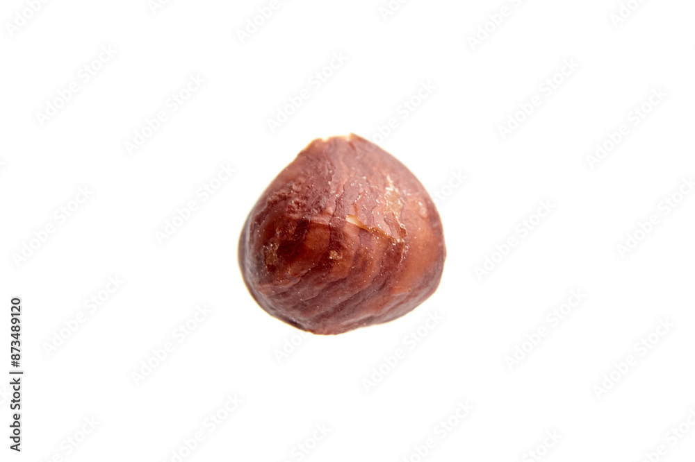 A detailed close-up of a single whole hazelnut with its skin partially on, set against a white background A detailed close-up of a single whole hazelnut with its skin partially on, set against a white background