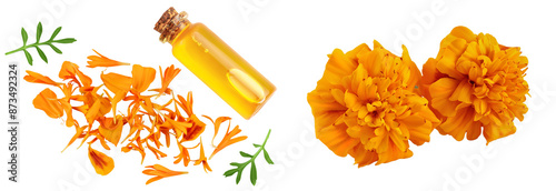 fresh marigold or tagetes erecta flower isolated on white background with full depth of field. Top view. Flat lay