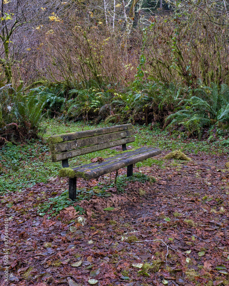 Old decaying bench in a forest Old decaying bench in a forest