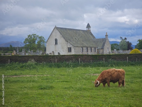 Castle Roy is a 12th century fortress set on a small glacial mound to the north of the village of Nethy Bridge and the resident Highland Cow Murdo photo