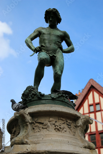 Dijon - Place du Bareuzai photo