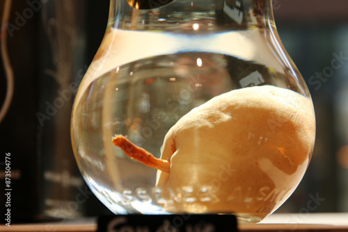 Poire dans un Verre photo