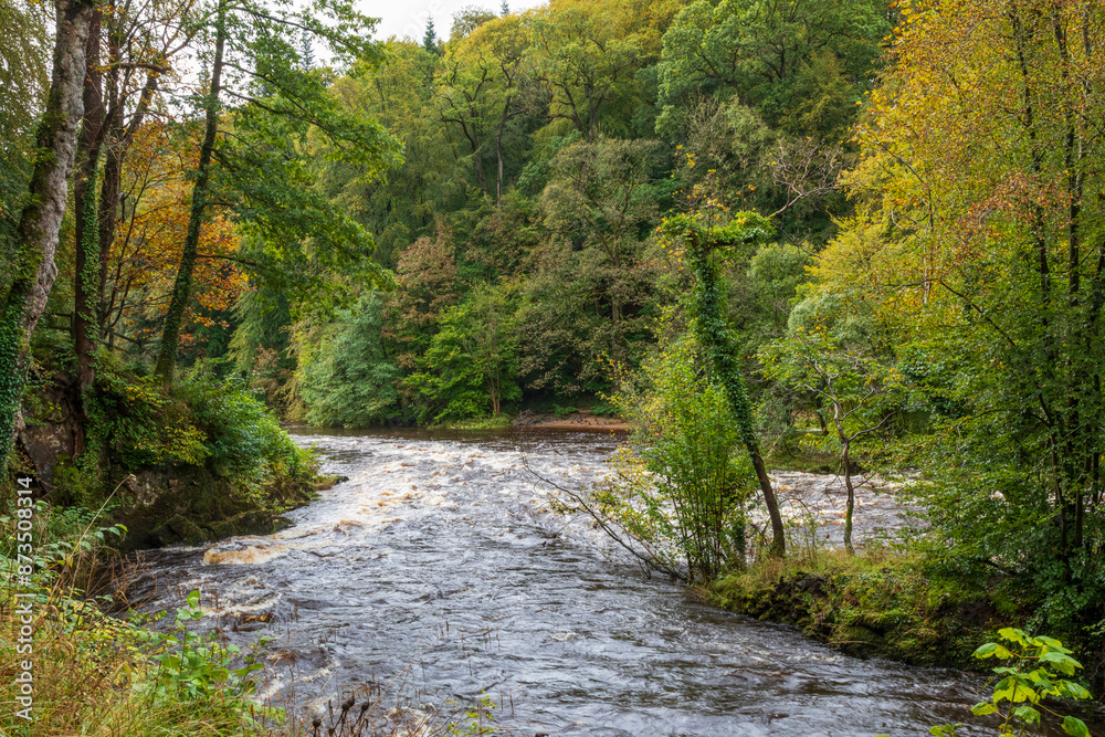 Europe, United Kingdom, England, Yorkshire, Skipton. Walks offer glimpse of local scenery. The River Wharfe.