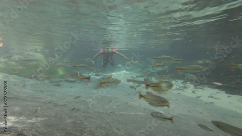 Snorkeling in Triste River - Nobres, Mato Grosso, Brazil photo