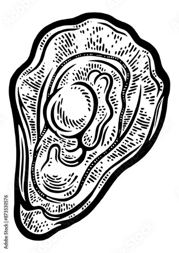 oyster sketch engraving PNG illustration. T-shirt apparel print design. Scratch board imitation. Black and white hand drawn image. photo