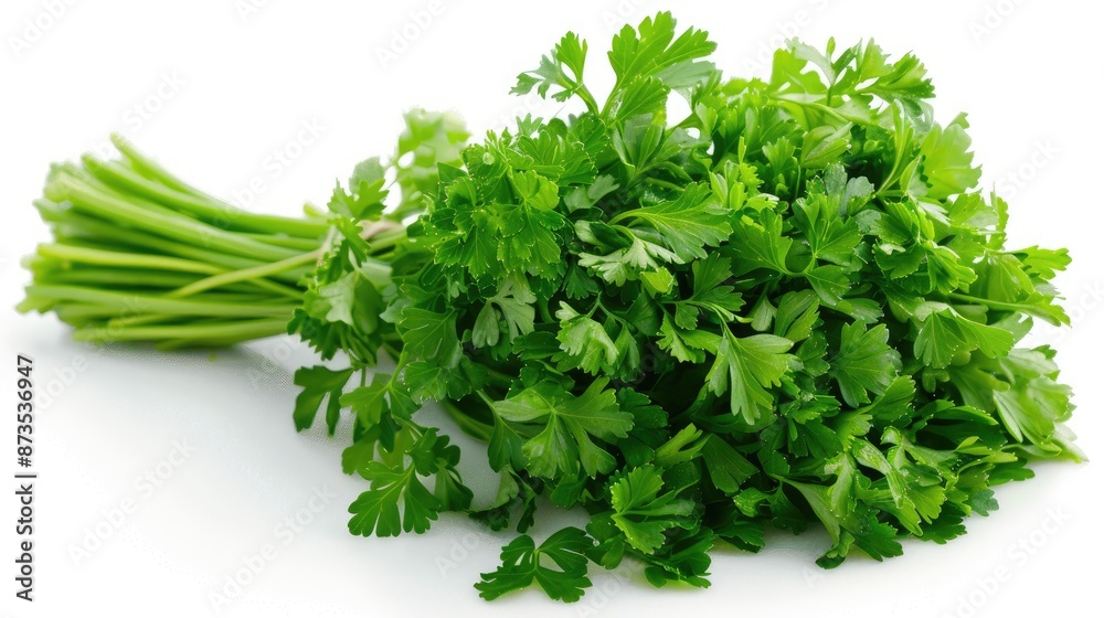 A bunch of fresh green parsley is displayed on a white background. The parsley is fresh and green, and it is arranged in a way that makes it look like a bundle of sticks A bunch of fresh green parsley is displayed on a white background. The parsley is fresh and green, and it is arranged in a way that makes it look like a bundle of sticks