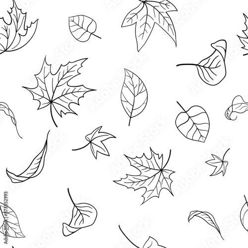 Seamless pattern of falling autumn leaves. Black outlines of leaves hand drawn doodles on a white background. Vector illustration for textile print, wrapping paper, wallpaper