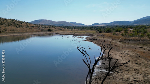 Wildlife Skyline At Rustenburg In North West South Africa. African Animals Landscape. Pilanesberg National Park. Rustenburg At North West South Africa. Big Five Animals. Wildlife Safari.