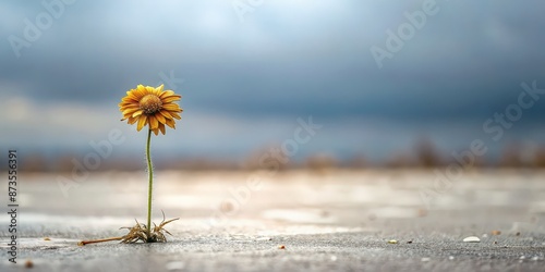 Wilted flower standing alone in a desolate gray landscape , Solitude, isolation, grief, depression, sadness, wilted, flower