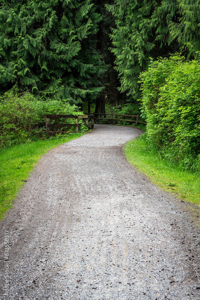 Outdoor nature recreation, gravel walking and biking path through open area with salmonberry bushes into a cedar tree forest with wood fencing, peaceful green and fresh air
Outdoor nature recreation, gravel walking and biking path through open area with salmonberry bushes into a cedar tree forest with wood fencing, peaceful green and fresh air