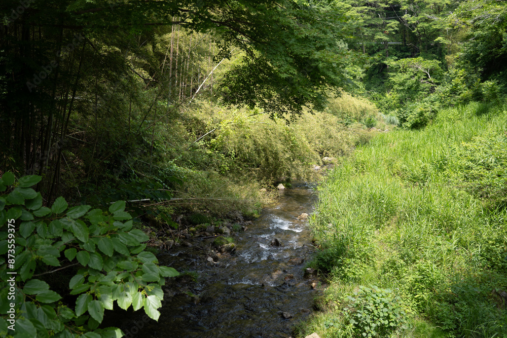 山奥の渓流 山奥の渓流