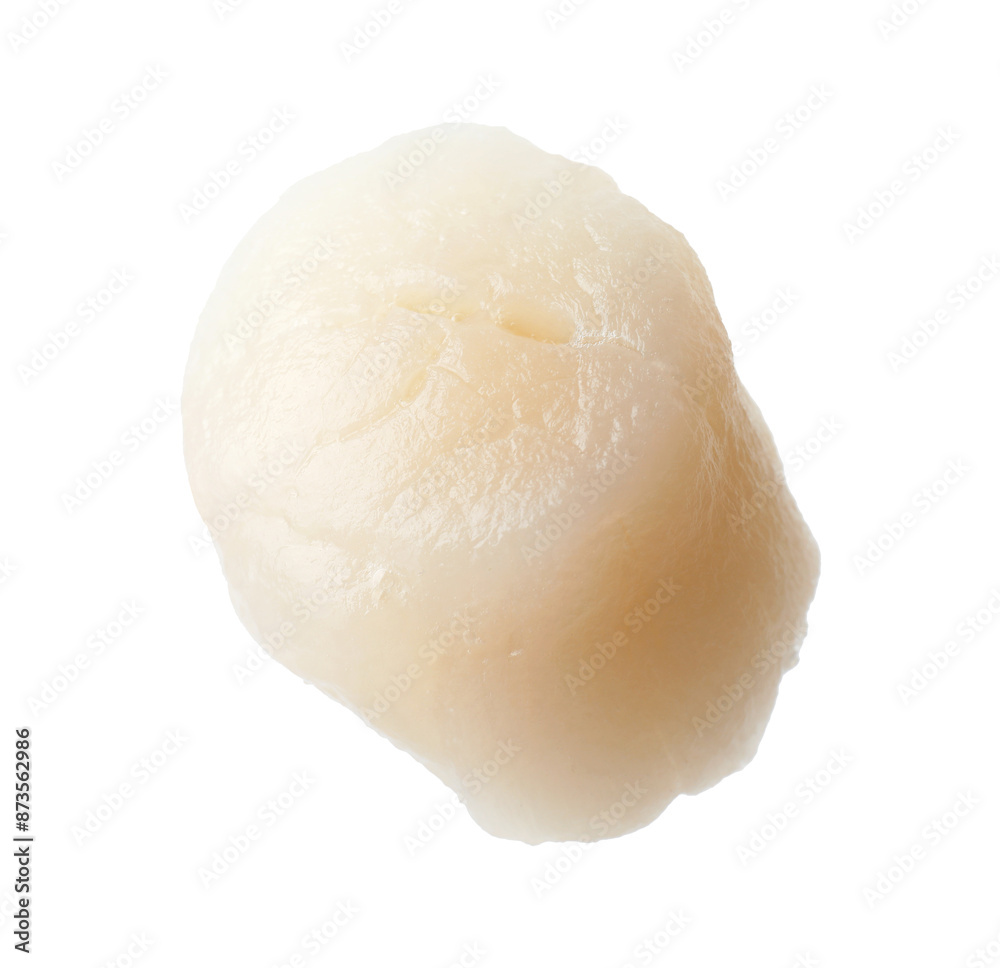 One fresh raw scallop isolated on white One fresh raw scallop isolated on white