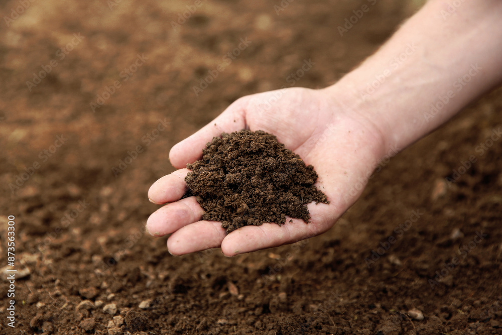 Woman holding pile of soil outdoors, closeup. Space for text Woman holding pile of soil outdoors, closeup. Space for text