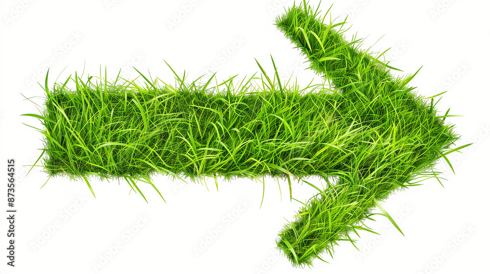 grass grass