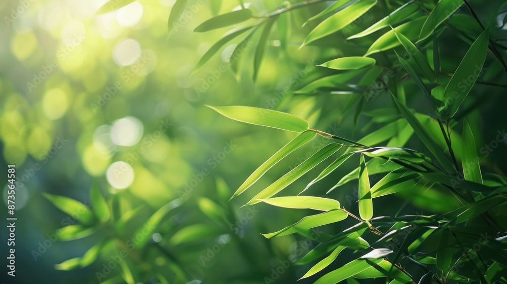Naklejka premium Sunlight Filtering Through Bamboo Leaves