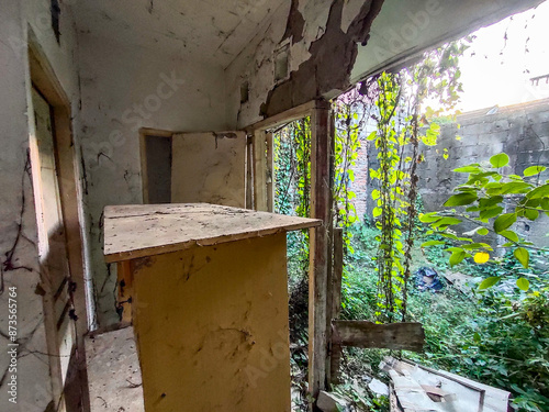 interior of an abandoned subsidized house in disrepair, overgrown with wild vines and nearly collapsing, located in a simple housing complex in Southeast Asia, Indonesia