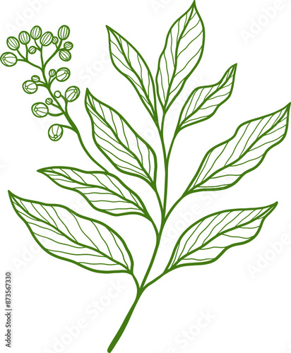 Line Art Aesthetic Leaf