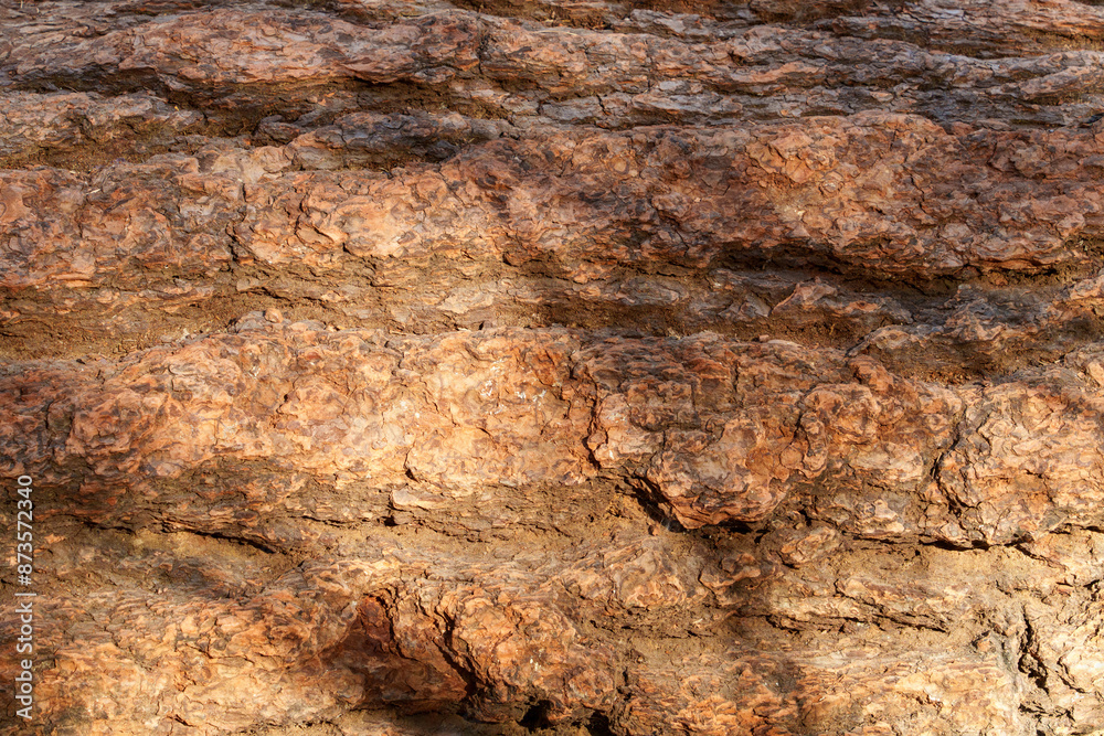 Extreme close-up of tree bark, revealing intricate textures and patterns. Rich warm tones of brown and orange highlight the complex, layered surface of the aged trunk, showcasing nature's detail. Extreme close-up of tree bark, revealing intricate textures and patterns. Rich warm tones of brown and orange highlight the complex, layered surface of the aged trunk, showcasing nature's detail.