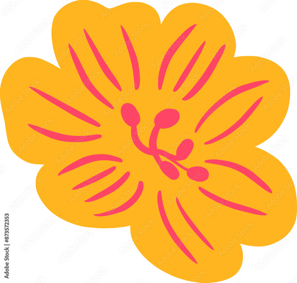 Beautiful Quirky Marigold Flower Beautiful Quirky Marigold Flower