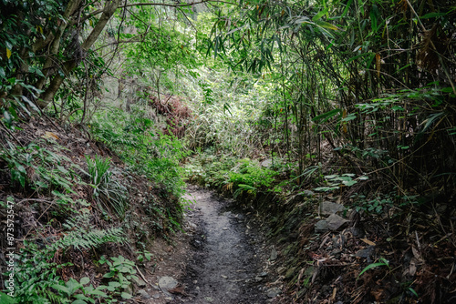 湿った登山道