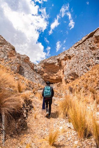 Young man from behind walking through the Andes mountain range.