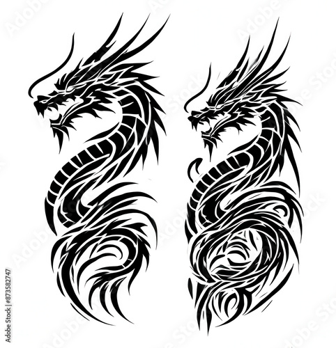 TRIBAL TATOO トライバル タトゥ 刺青 和柄 龍 Dragon