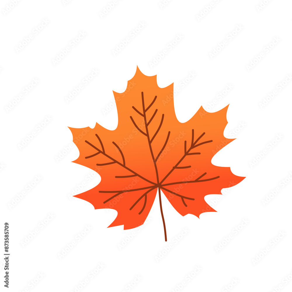 Fototapeta premium maple leaves isolated on white
