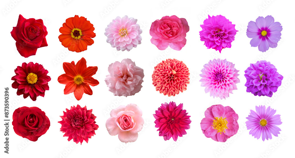 set of flowers set of flowers