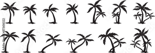 palm tree silhouette set collection