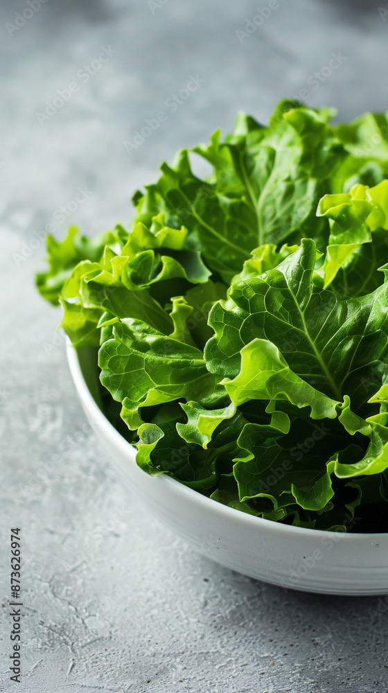 Organic vegetables, green leaves, placed on a white background. Organic vegetables, green leaves, placed on a white background.