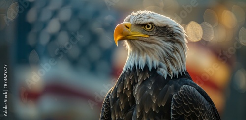 Bald Eagle Perched Before American Flag