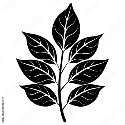 Tropical and Botanical Plants Leaf Vector illustration © CreativeDesigns