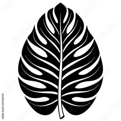 Tropical and Botanical Plants Leaf Vector illustration