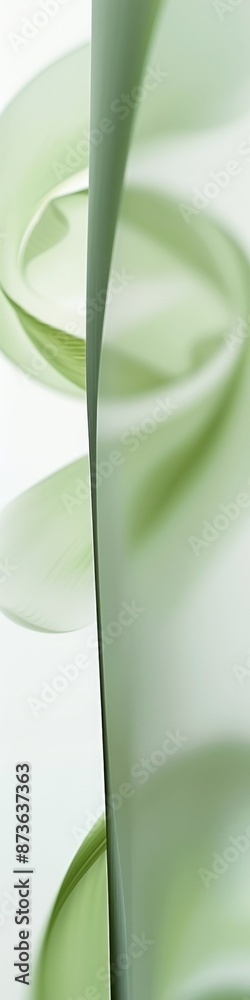 Obraz premium An abstract background with soft green and white curving shapes and lines. 