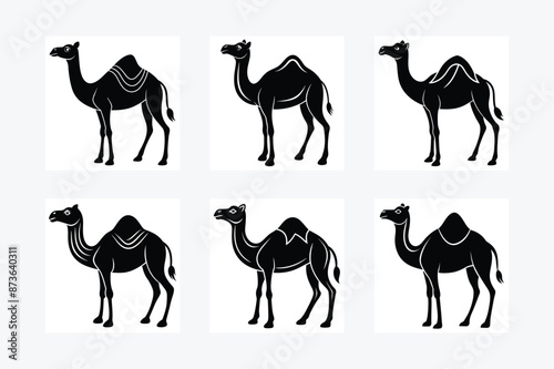 Camel animal  Silhouette vector illustration