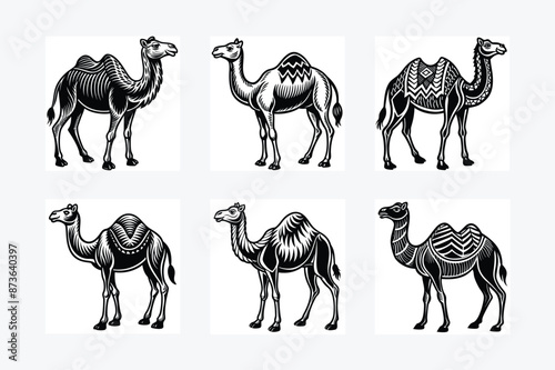 Camel animal  Silhouette vector illustration