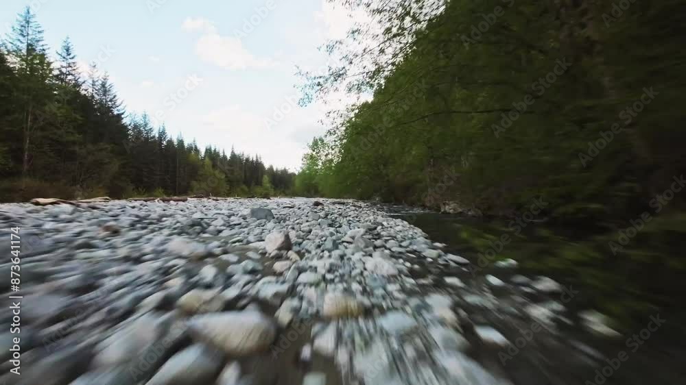Fast low flying aerial zig zag over calm river proximity flying to water rocks water trees surrounded by lush greenery fallen logs and low hanging vegetation near Stave Lake Mission BC Canada