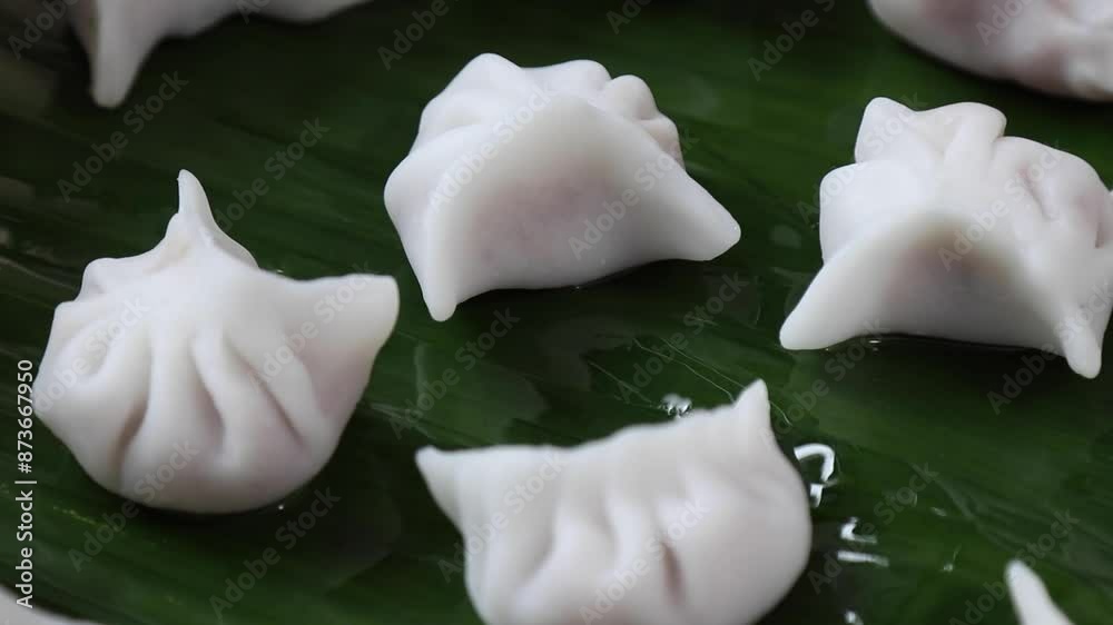 dumplings chinese food