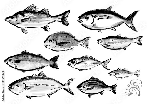 いろいろな手書きの魚の集合　和風筆書きの魚セット