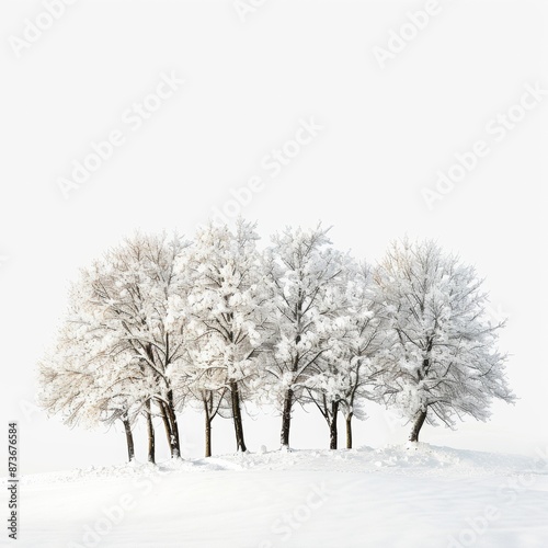 Wallpaper Mural Tranquil Winter Wonderland - Snow-Covered Trees on Isolated White Background with Copy Space. Torontodigital.ca