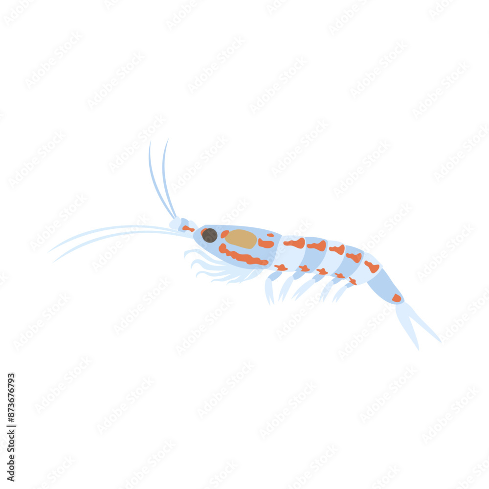 Φωτογραφία ナンキョクオキアミ。フラットなベクターイラスト。
Antarctic krill
