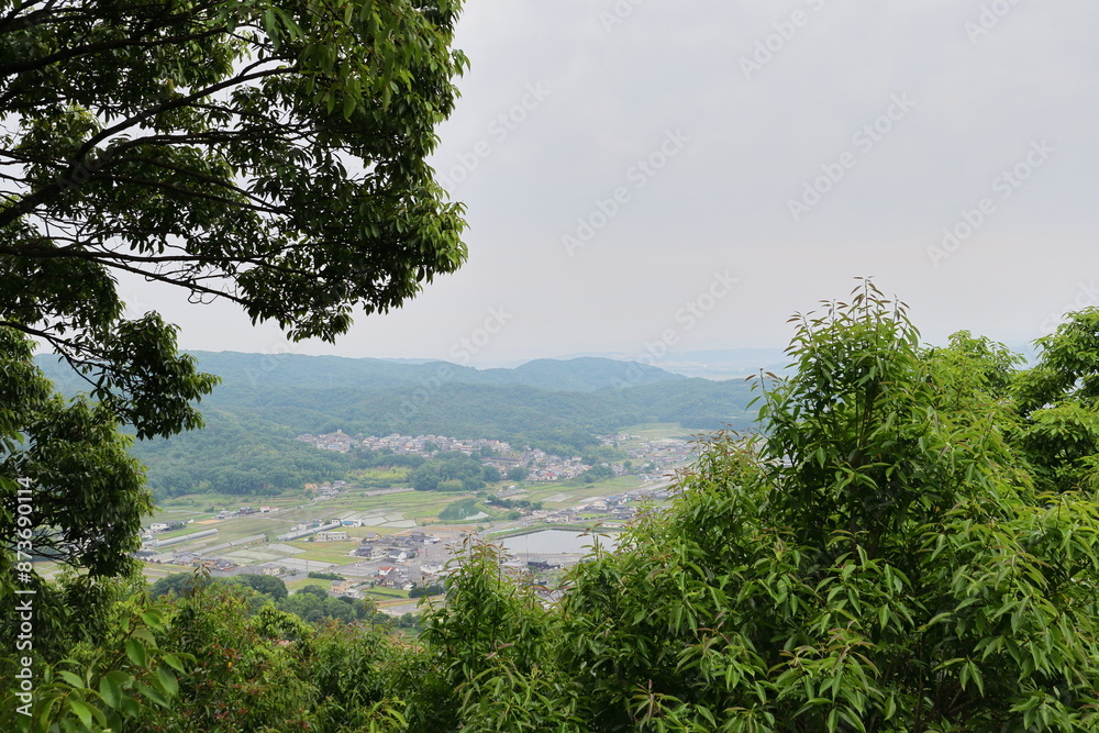 Obraz premium 山中から見下ろす田舎の町